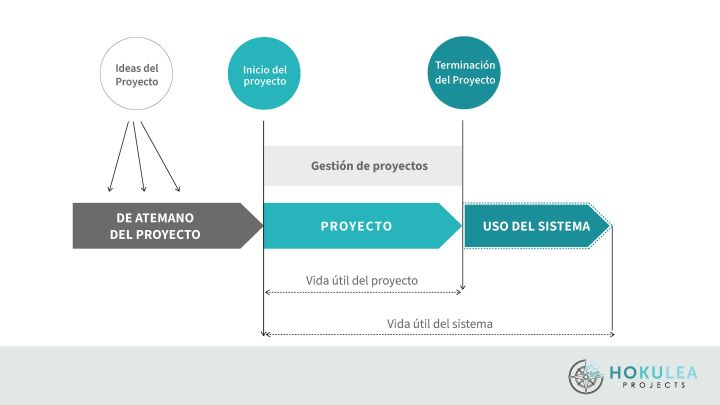 Proyecto Ciclo de Vida